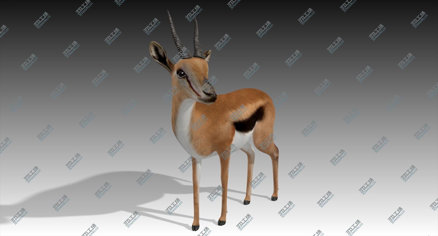 images/goods_img/2021040162/3D Gazelle Rigged/3.jpg